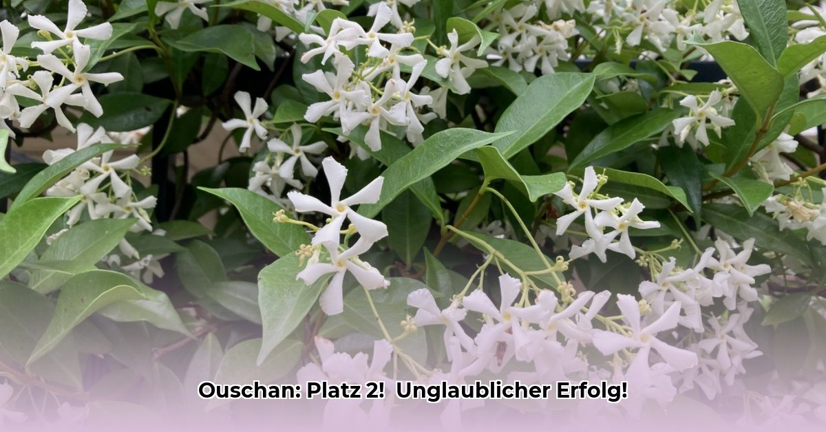 jasmin-ouschan-freund